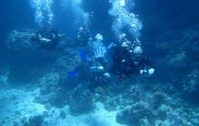 Zdjęcia z Safari Abu Fandera maj 2013