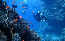 Zdjęcia z Safari Abu Fandera maj 2013