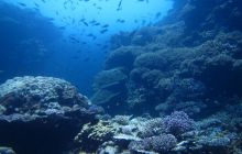 Zdjęcia z Safari Abu Fandera maj 2013