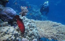 Zdjęcia z Safari Abu Fandera maj 2013