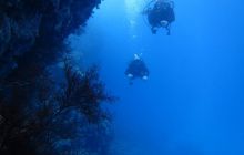 Zdjęcia z Safari Abu Fandera maj 2013