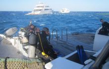 Zdjęcia z Safari Abu Fandera maj 2013