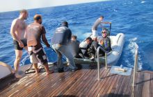 Zdjęcia z Safari Abu Fandera maj 2013