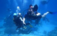 Zdjęcia z Safari Abu Fandera maj 2013