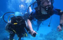 Zdjęcia z Safari Abu Fandera maj 2013