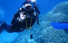 Zdjęcia z Safari Abu Fandera maj 2013