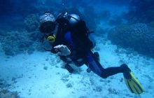 Zdjęcia z Safari Abu Fandera maj 2013