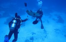 Zdjęcia z Safari Abu Fandera maj 2013