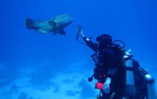 Zdjęcia z Safari Abu Fandera maj 2013