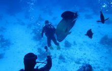 Zdjęcia z Safari Abu Fandera maj 2013