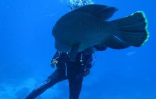 Zdjęcia z Safari Abu Fandera maj 2013