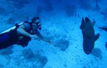 Zdjęcia z Safari Abu Fandera maj 2013