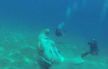 Zdjęcia z Safari Abu Fandera maj 2013