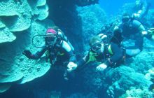 Zdjęcia z Safari Abu Fandera maj 2013