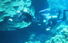 Zdjęcia z Safari Abu Fandera maj 2013