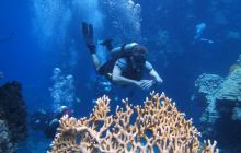 Zdjęcia z Safari Abu Fandera maj 2013