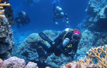 Zdjęcia z Safari Abu Fandera maj 2013