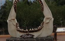 Zdjęia z RPA i Mozambiku