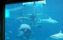 Zdjęia z RPA i Mozambiku