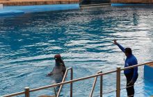 Zdjęia z RPA i Mozambiku