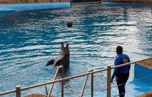 Zdjęia z RPA i Mozambiku