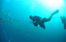 Zdjęia z RPA i Mozambiku