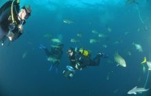 Zdjęia z RPA i Mozambiku