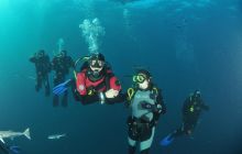 Zdjęia z RPA i Mozambiku