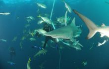 Zdjęia z RPA i Mozambiku