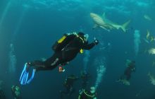 Zdjęia z RPA i Mozambiku