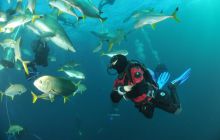 Zdjęia z RPA i Mozambiku