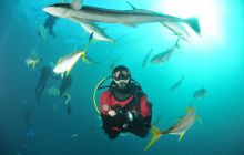 Zdjęia z RPA i Mozambiku