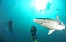 Zdjęia z RPA i Mozambiku