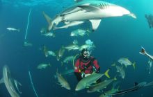 Zdjęia z RPA i Mozambiku