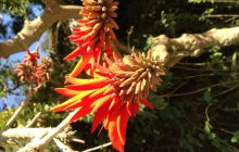 Zdjęia z RPA i Mozambiku