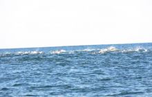 Zdjęia z RPA i Mozambiku