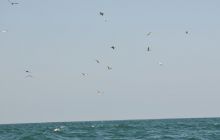 Zdjęia z RPA i Mozambiku