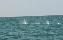 Zdjęia z RPA i Mozambiku