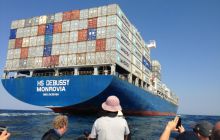 Zdjęia z RPA i Mozambiku