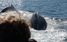 Zdjęia z RPA i Mozambiku