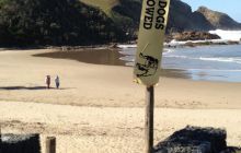 Zdjęia z RPA i Mozambiku