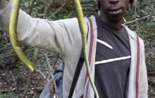 Zdjęia z RPA i Mozambiku