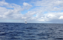 Zdjęia z RPA i Mozambiku