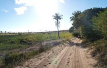 Zdjęia z RPA i Mozambiku