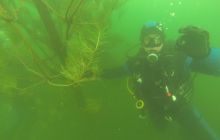 Nowości podwodne w Kłodnie