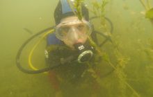 Nowości podwodne w Kłodnie