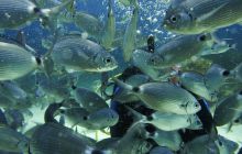 Foto relacja z Malty i Gozo