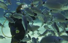 Foto relacja z Malty i Gozo