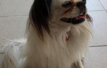 Foto relacja z Malty i Gozo