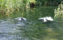 Spływ Rzeczny - relacja